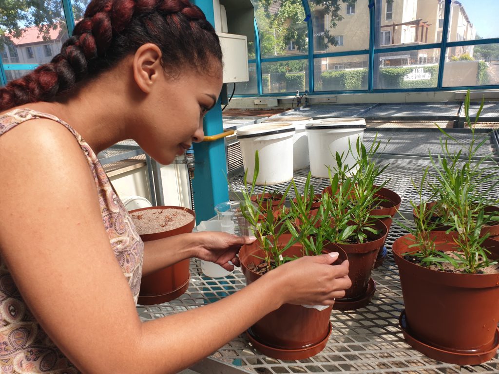 M.J.H Watering Plants